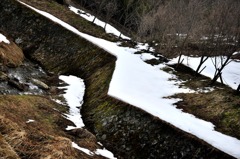 フランクリン・バッヂ