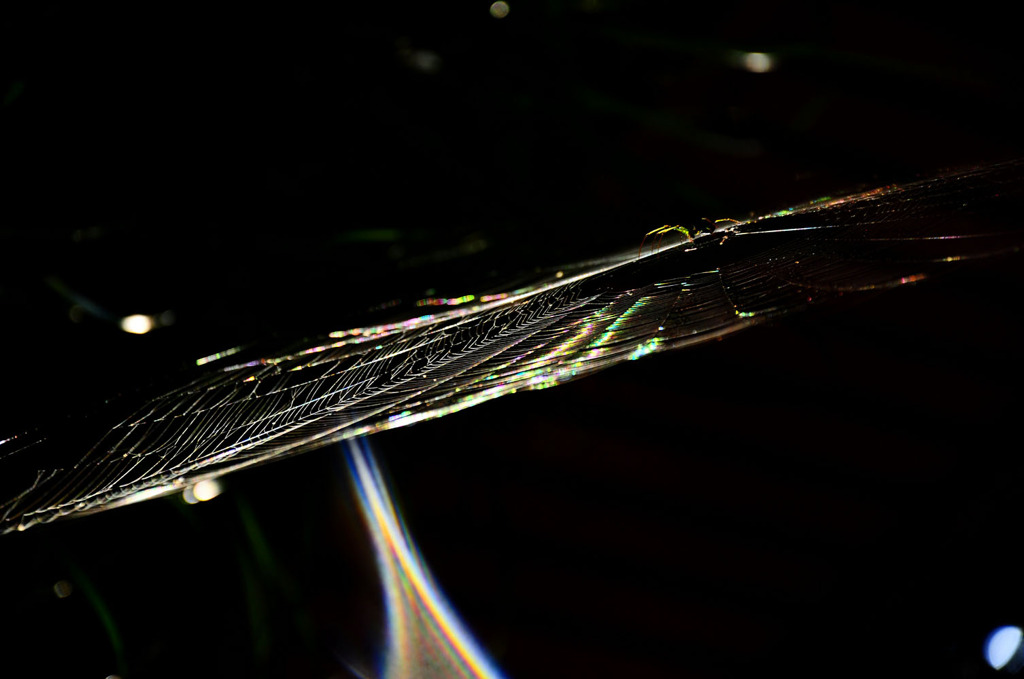 Rainbow Net 2
