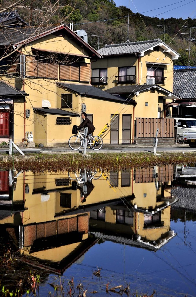 深泥池の朝