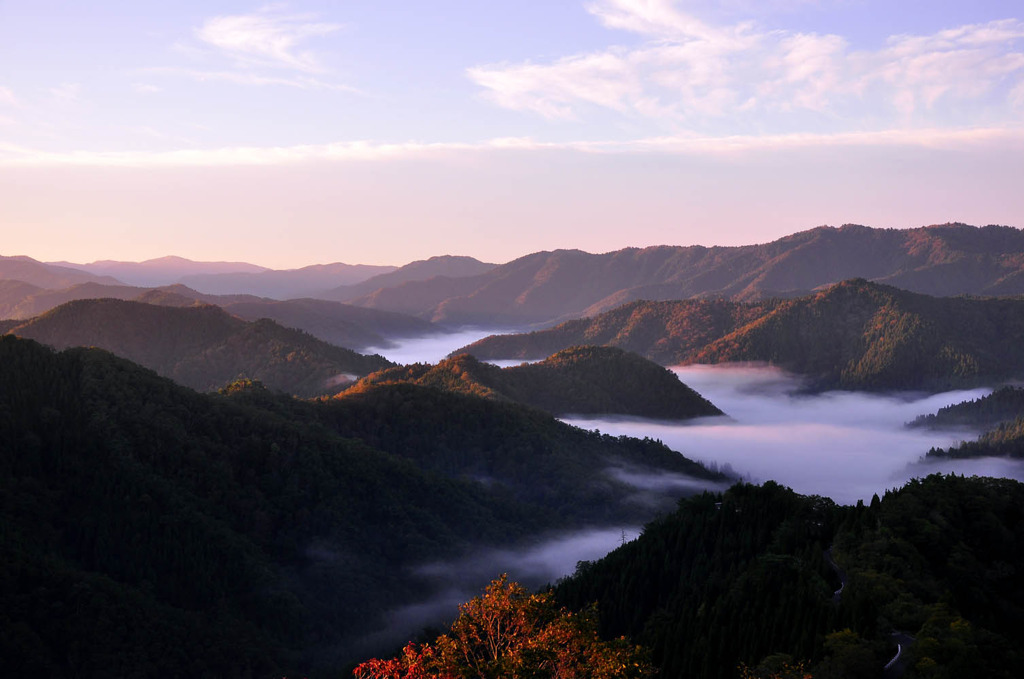 小入谷の雲海
