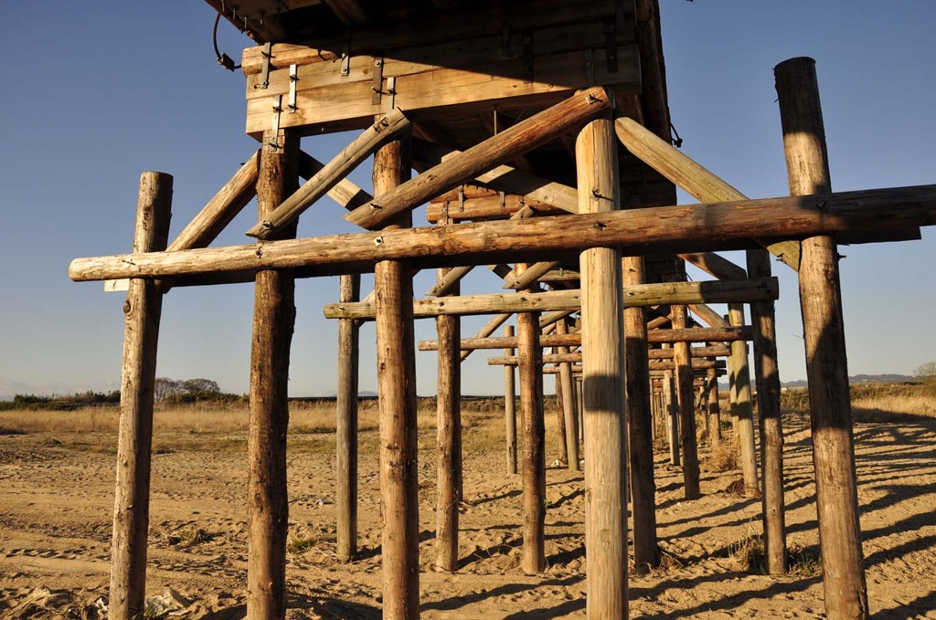 吹きさらしの骨組み