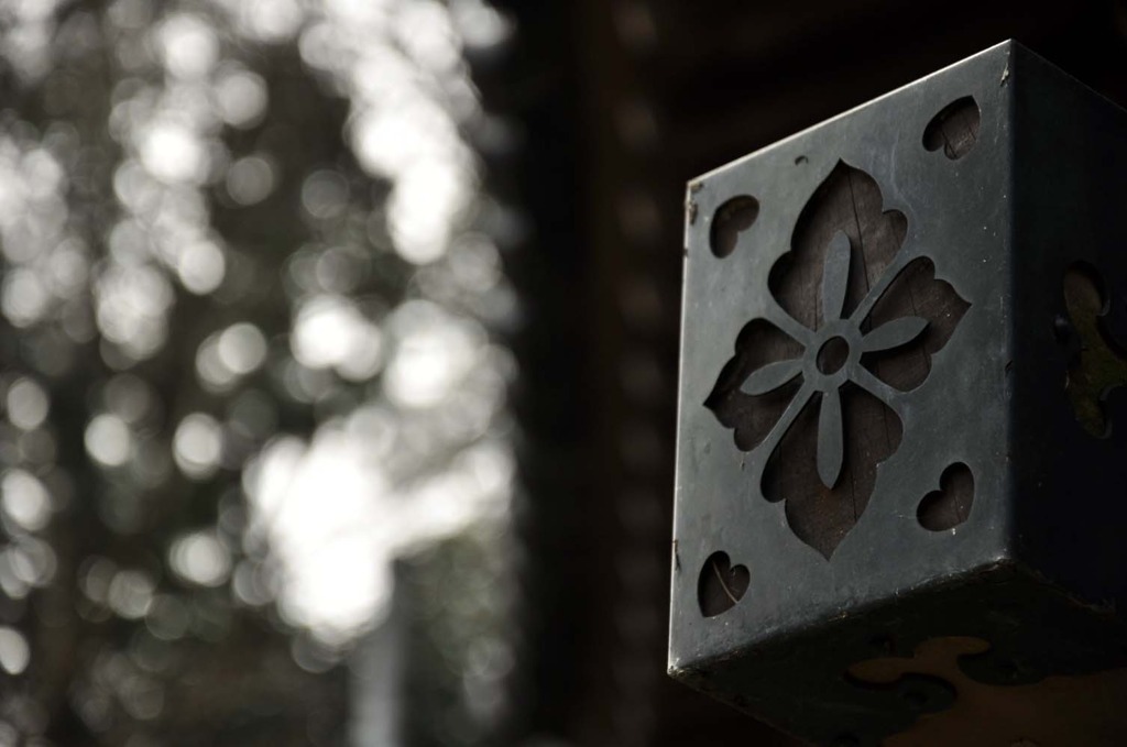 幸運のクローバー