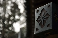 幸運のクローバー