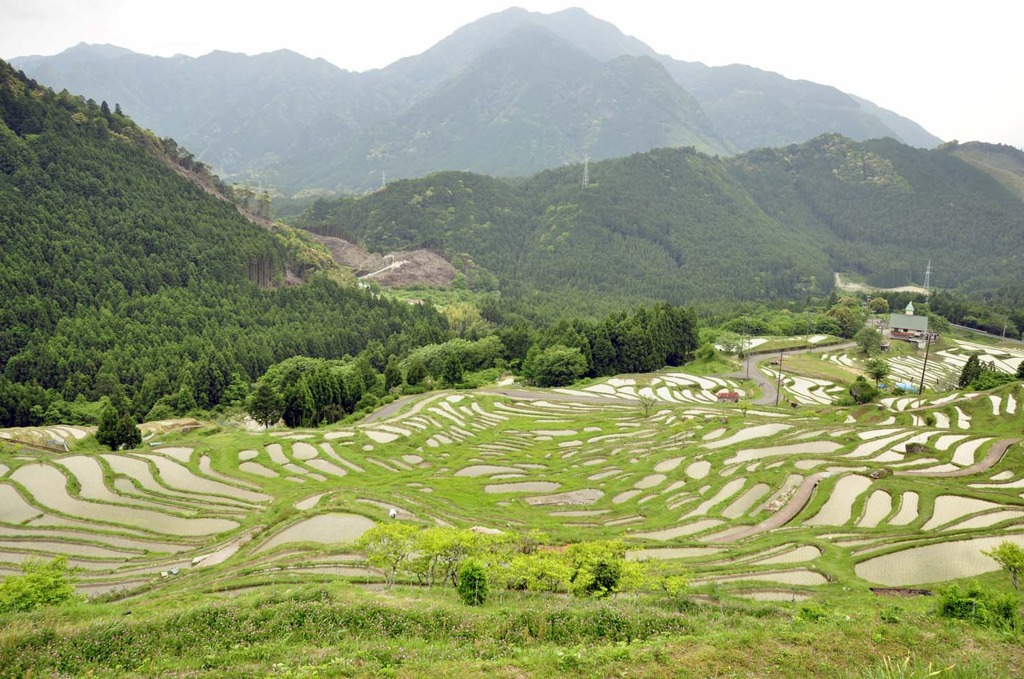 丸山フィールド