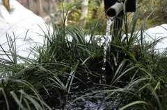 風流の垂れ流し