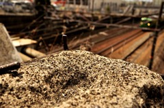 下町トレイン再び