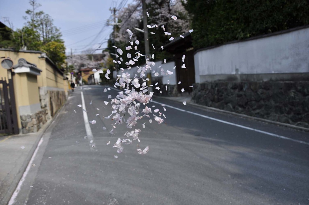 風塵