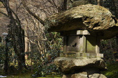 笑う岩灯籠