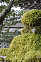 マイナスイオン