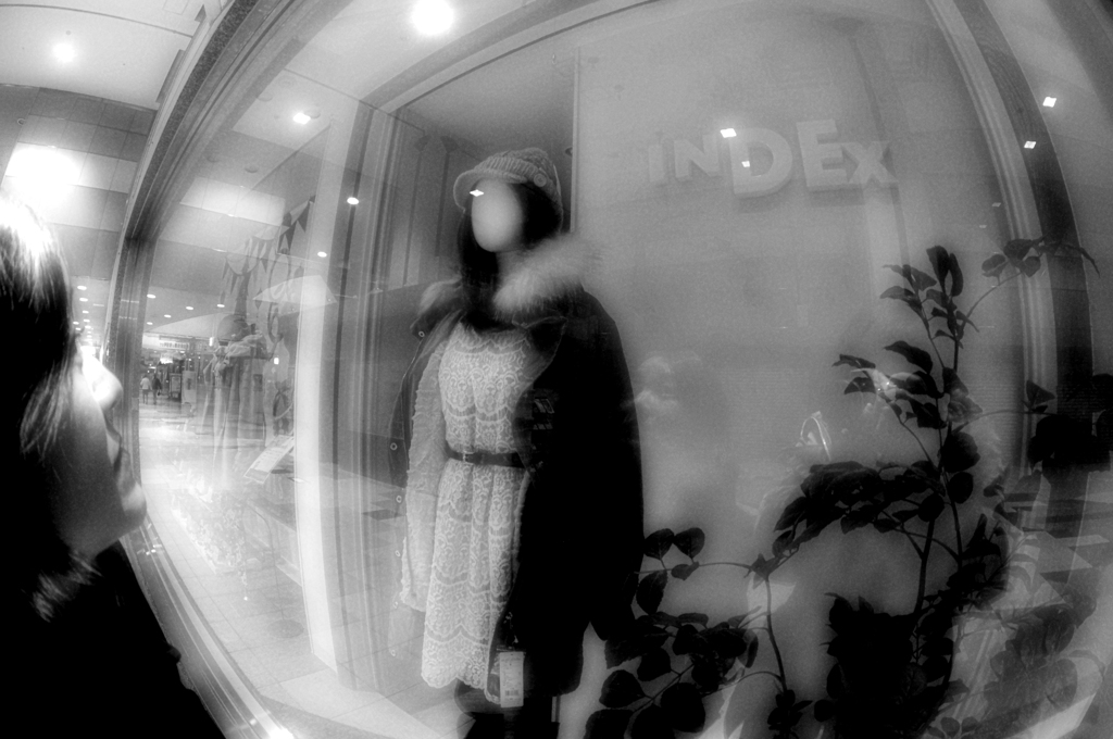 show window