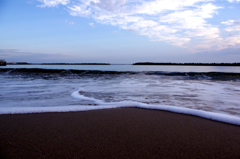 秋 海　- 潮  騒 -