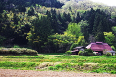 里山のカンヴァス