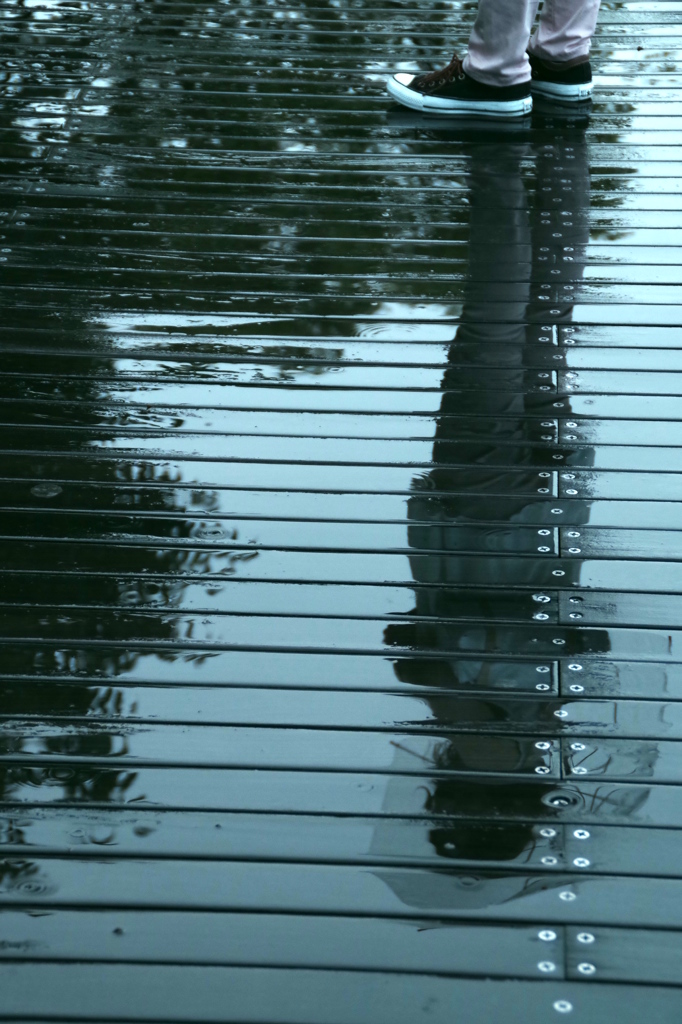 Rainy Blue