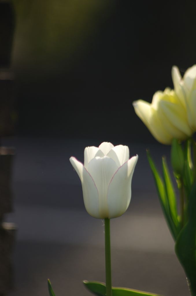 無題1