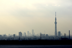 都　会