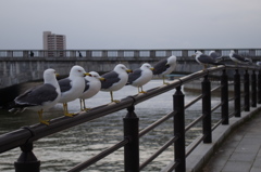 お出迎え