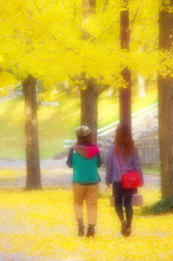 autumn Collection 2011