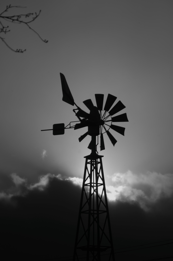 catch the wind
