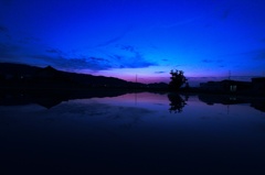 水田に写る夕暮れ