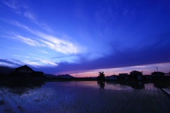 blue blue