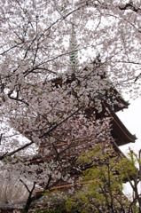 088上野東照宮五重塔