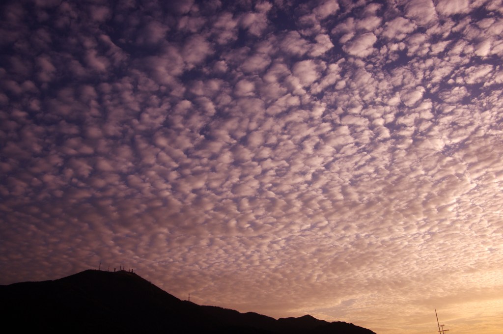 皿倉山　－羊雲－