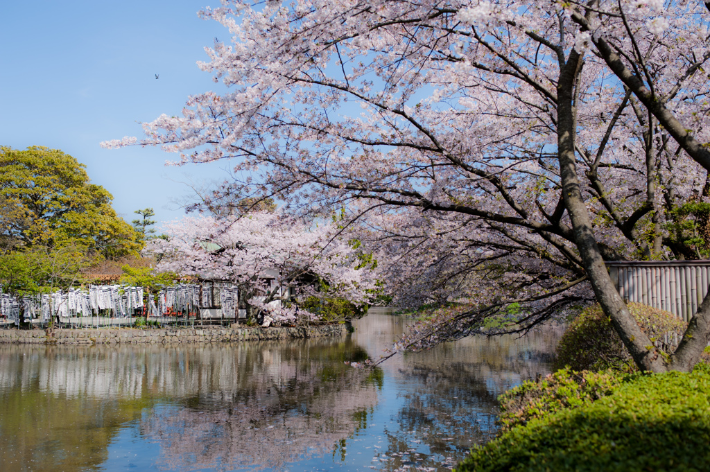 The blinding sunlight in kamakura
