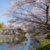 The blinding sunlight in kamakura