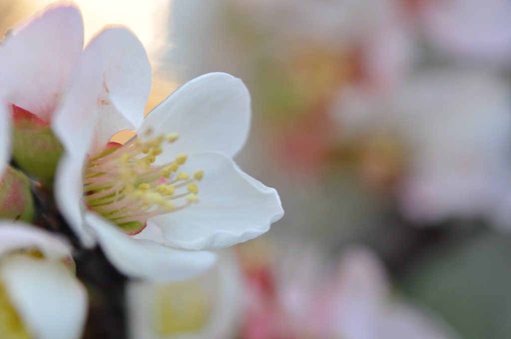 Back to the evening 1