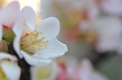 Back to the evening 1