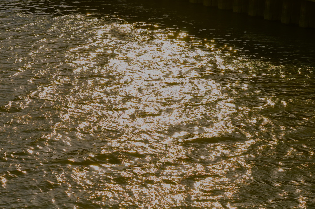 水面のきらめき