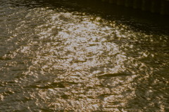 水面のきらめき