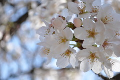 幸せのひととき