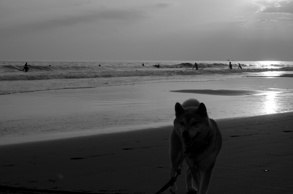 monochrome 
