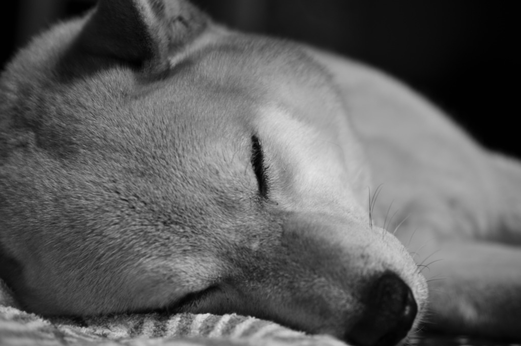 眠り