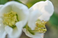 微睡みへの誘惑