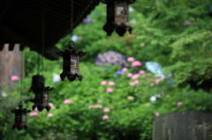 長谷寺