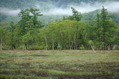 尾瀬の朝