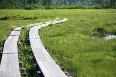曲がり道