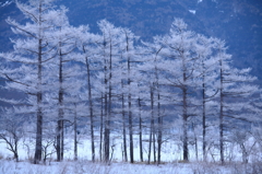 静寂