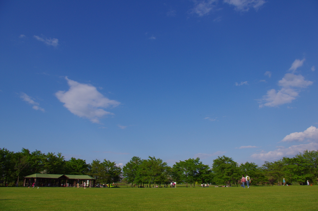 百合が原公園⑤