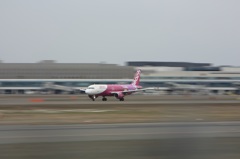 JA804P
