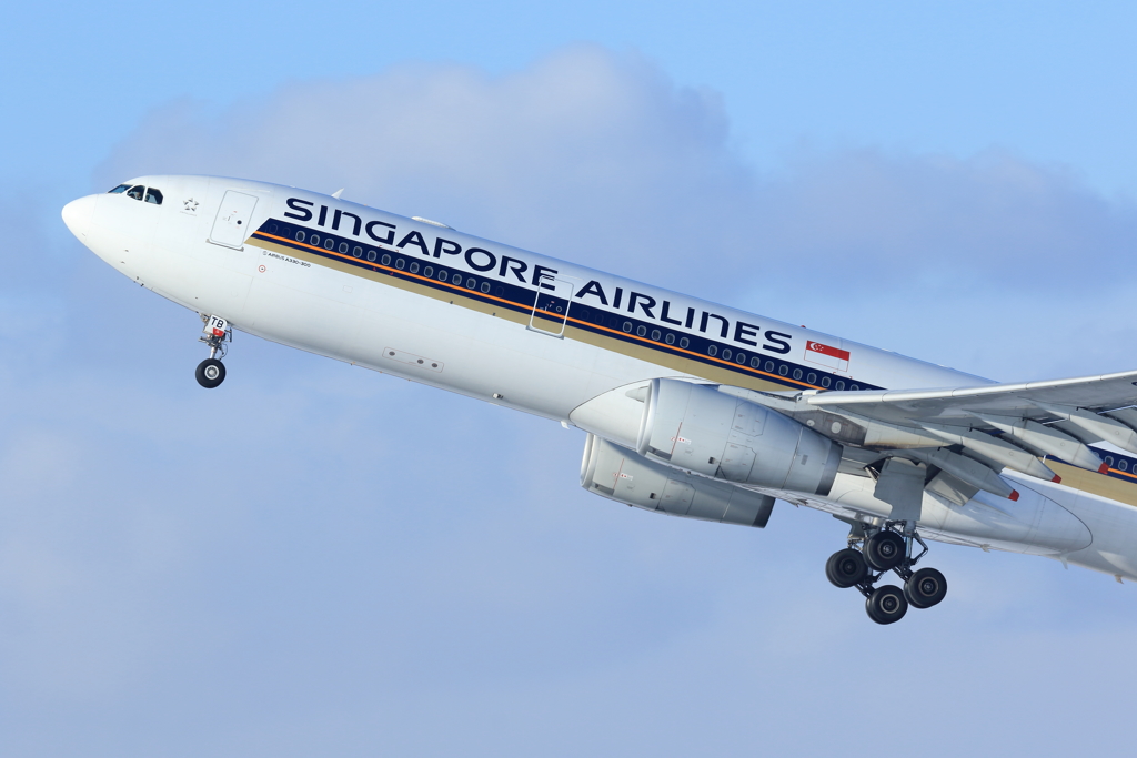 シンガポール航空なのかな？
