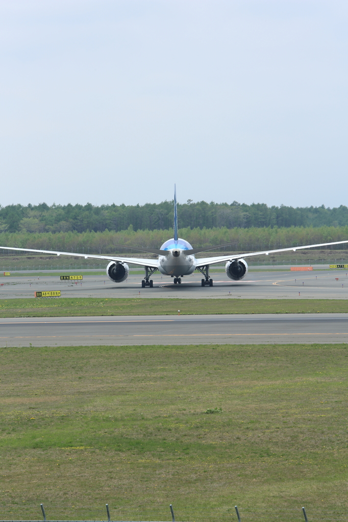 JA810A_787-8 Dreamliner_#3
