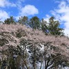 二十間道路#1