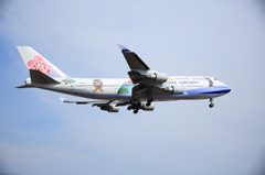 B-18203
