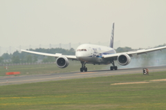 JA810A_787-8 Dreamliner_#1