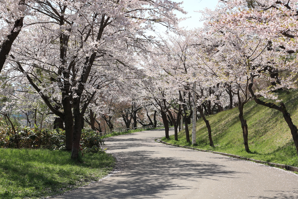 美唄　東明公園