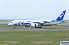 JA810A_787-8 Dreamliner_#2