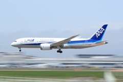 ANA　着陸　787